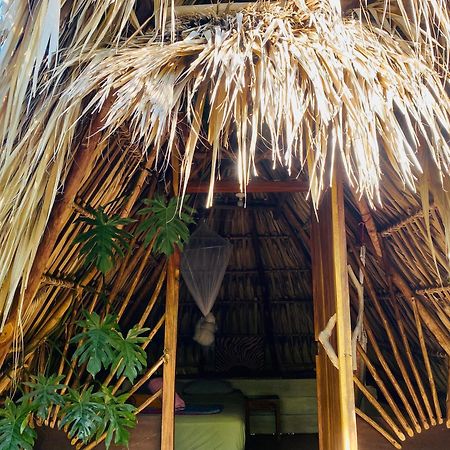 Calypso Cabanas El Paredón Buena Vista المظهر الخارجي الصورة