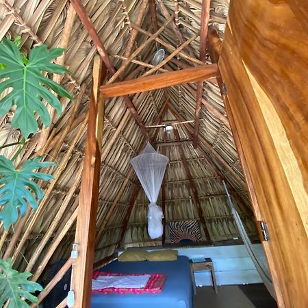 Calypso Cabanas El Paredón Buena Vista المظهر الخارجي الصورة