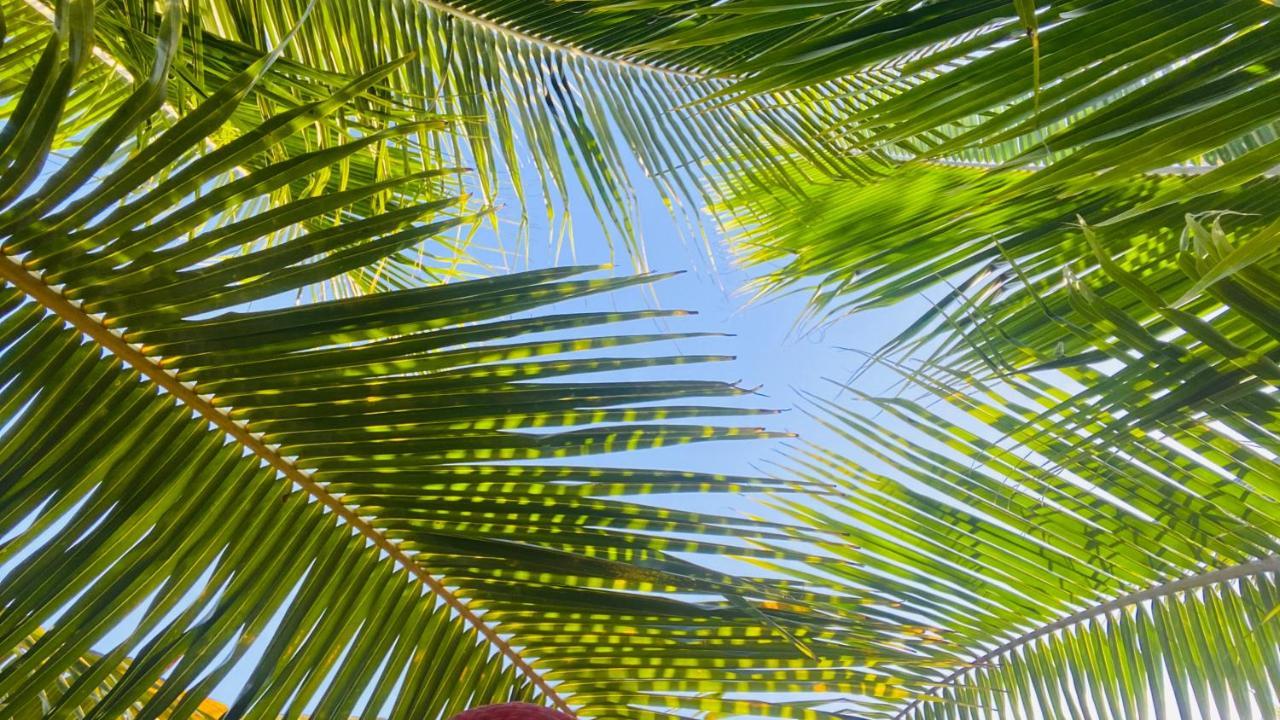 Calypso Cabanas El Paredón Buena Vista المظهر الخارجي الصورة
