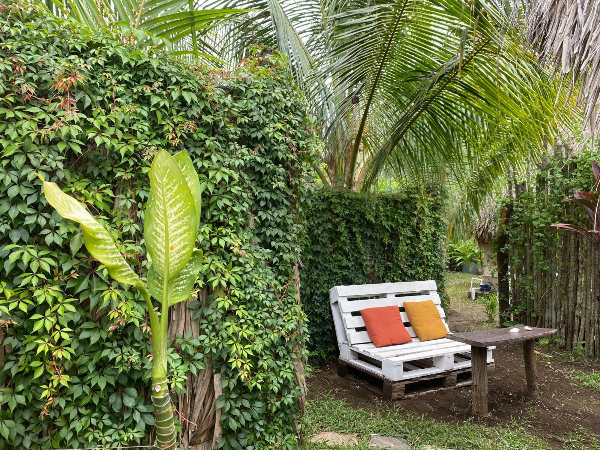 Calypso Cabanas El Paredón Buena Vista المظهر الخارجي الصورة